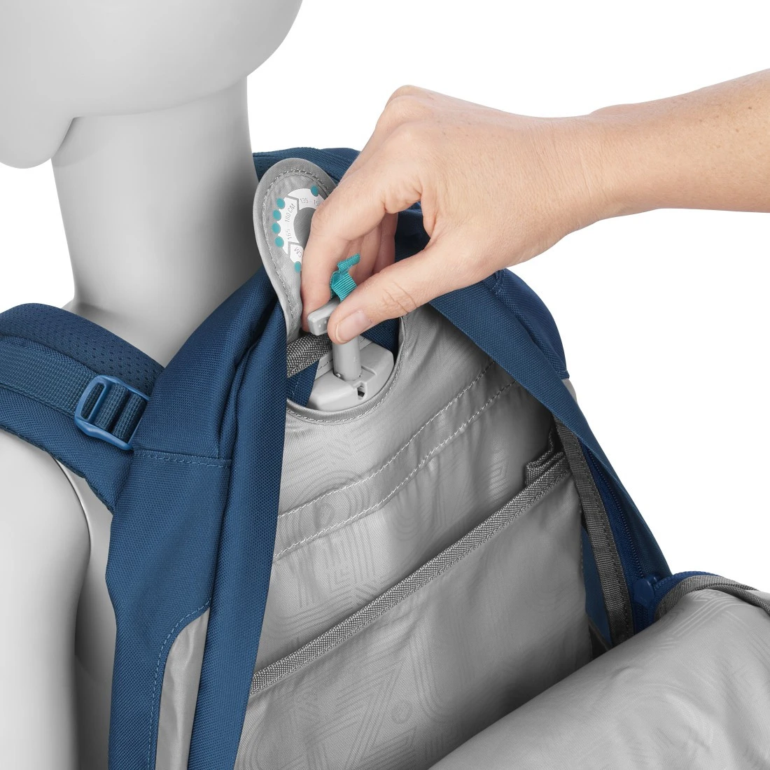 Schulrucksack Coocazoo MATE, Lime Stripe, AGR-Zertifikat – Bild 4